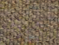 Fawn color swatch