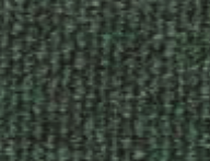Spruce color swatch