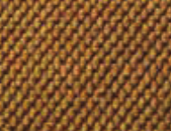 Maple color swatch
