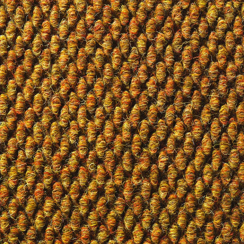 Maple color swatch