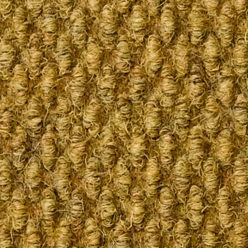 Coco color swatch