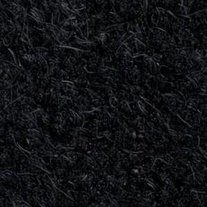 Charcoal Color