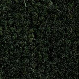 Green Color