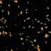 My Image