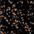 Sport Tile Brown