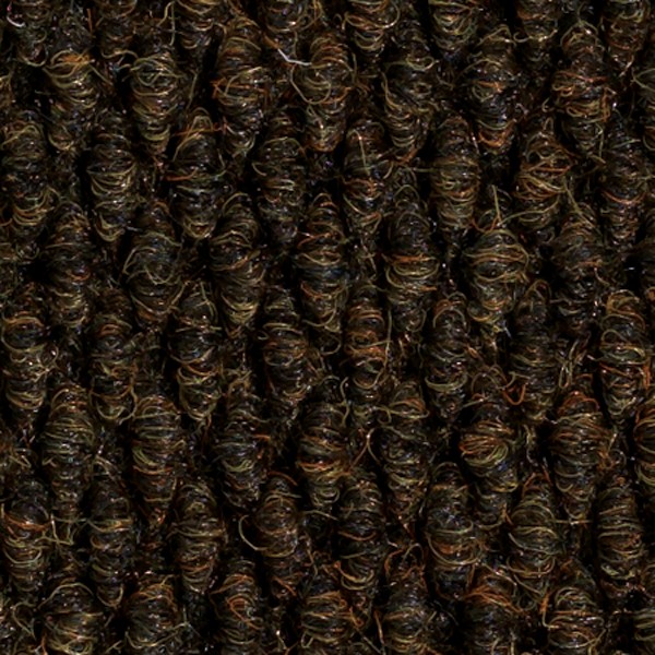 Bark Color