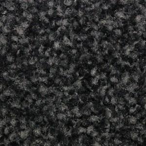 Black Mink Color