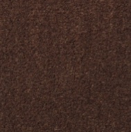 Pecan Swatch