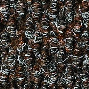Chestnut Color