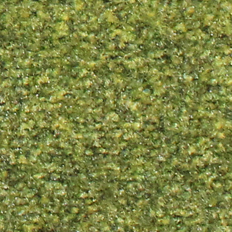 ljhdjk10 color